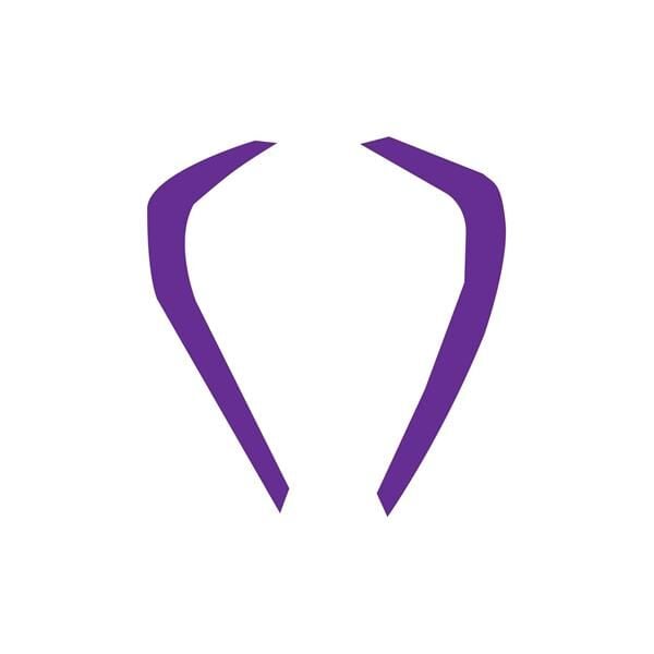 CF Moto 250SR Mor Far Sticker