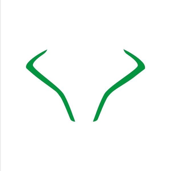 CF Moto 450SR Yeşil Far Led Sticker Etiket Modeli