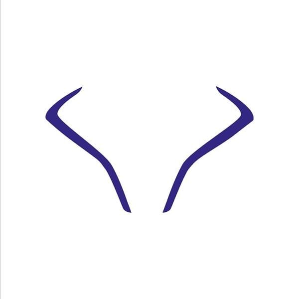 CF Moto 450SR Mavi Far Led Sticker Etiket Modeli